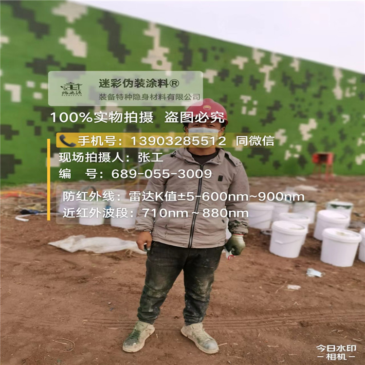 玉树​包括外墙、护坡、水泥地面建筑物的迷彩喷涂